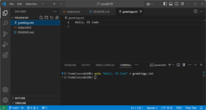 Visual Studio Code (VS Code)
